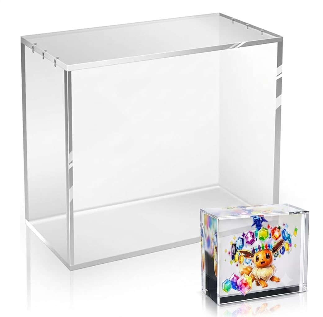 Acrylic Display Case P999