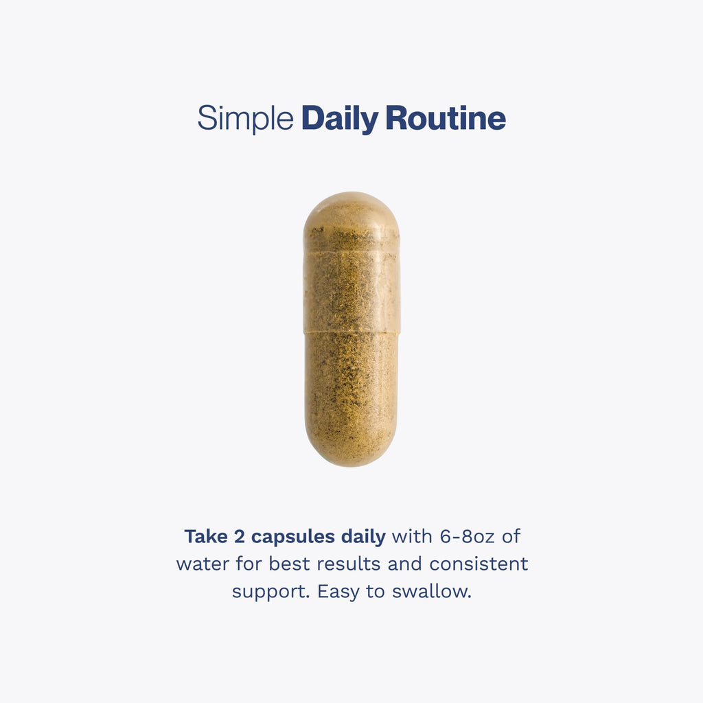 60 Capsules Prostate Support X74320
