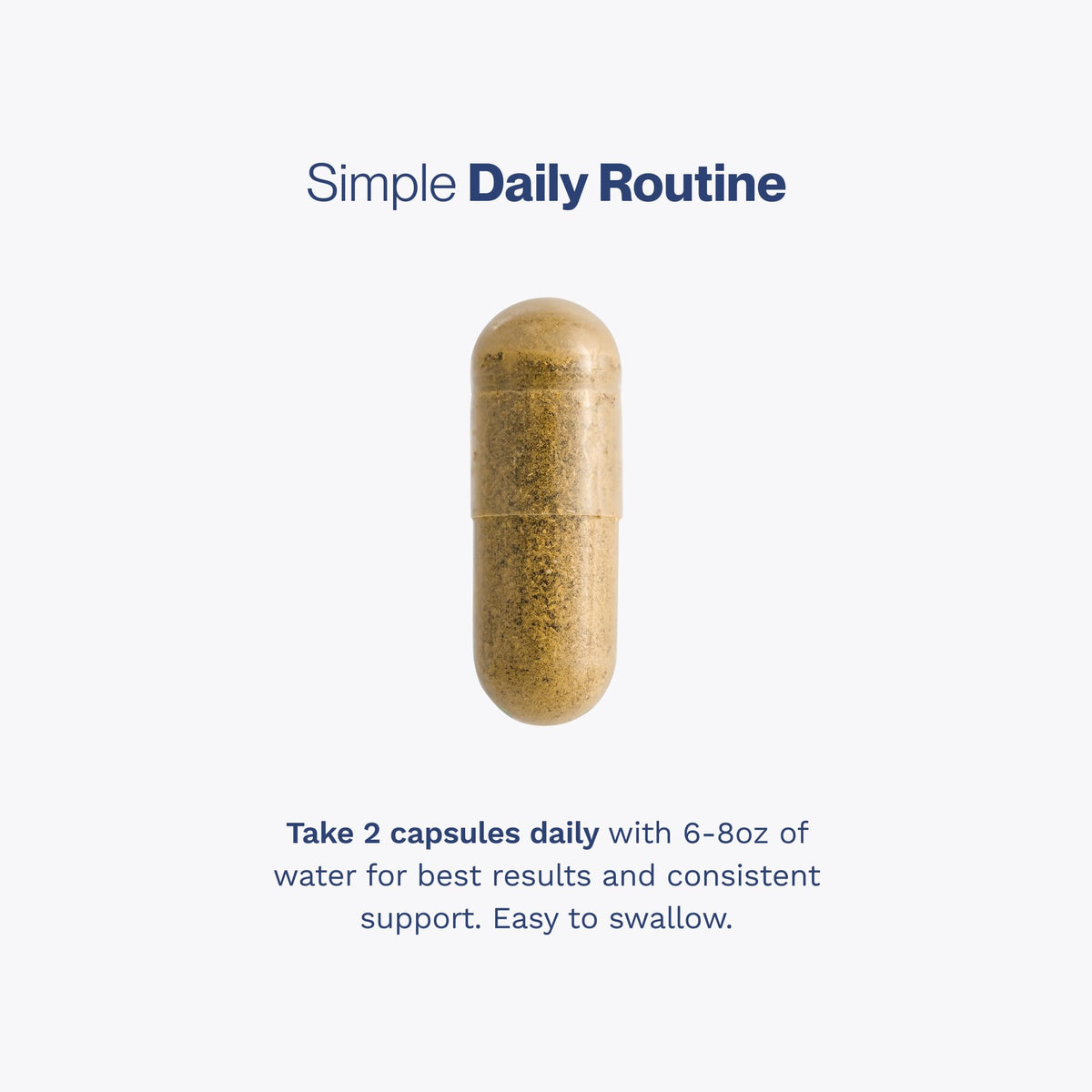 60 Capsules Prostate Support X74320