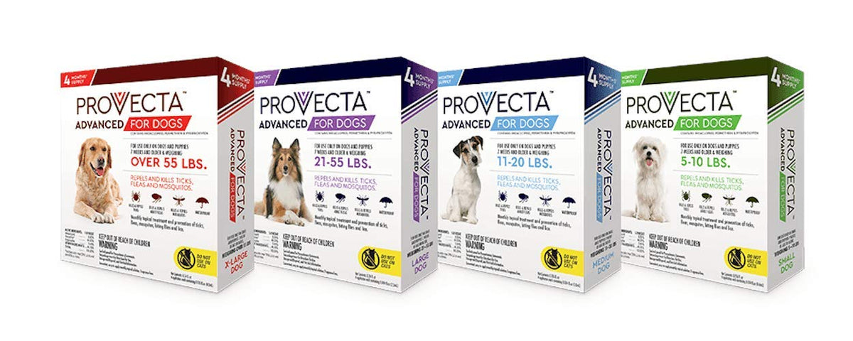 Small 5-10 lb Dog (Pack of 2) T315779
