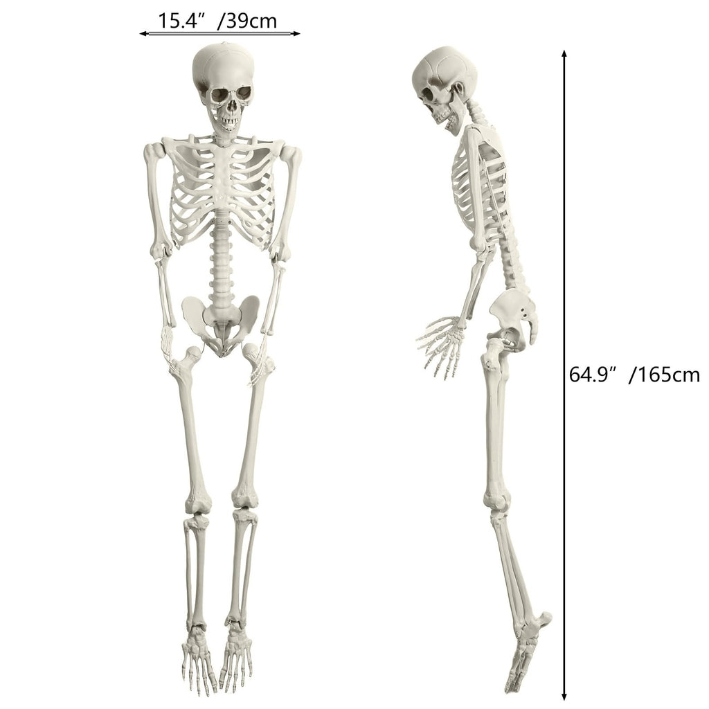 Halloween Skeleton Poseable Prop A999