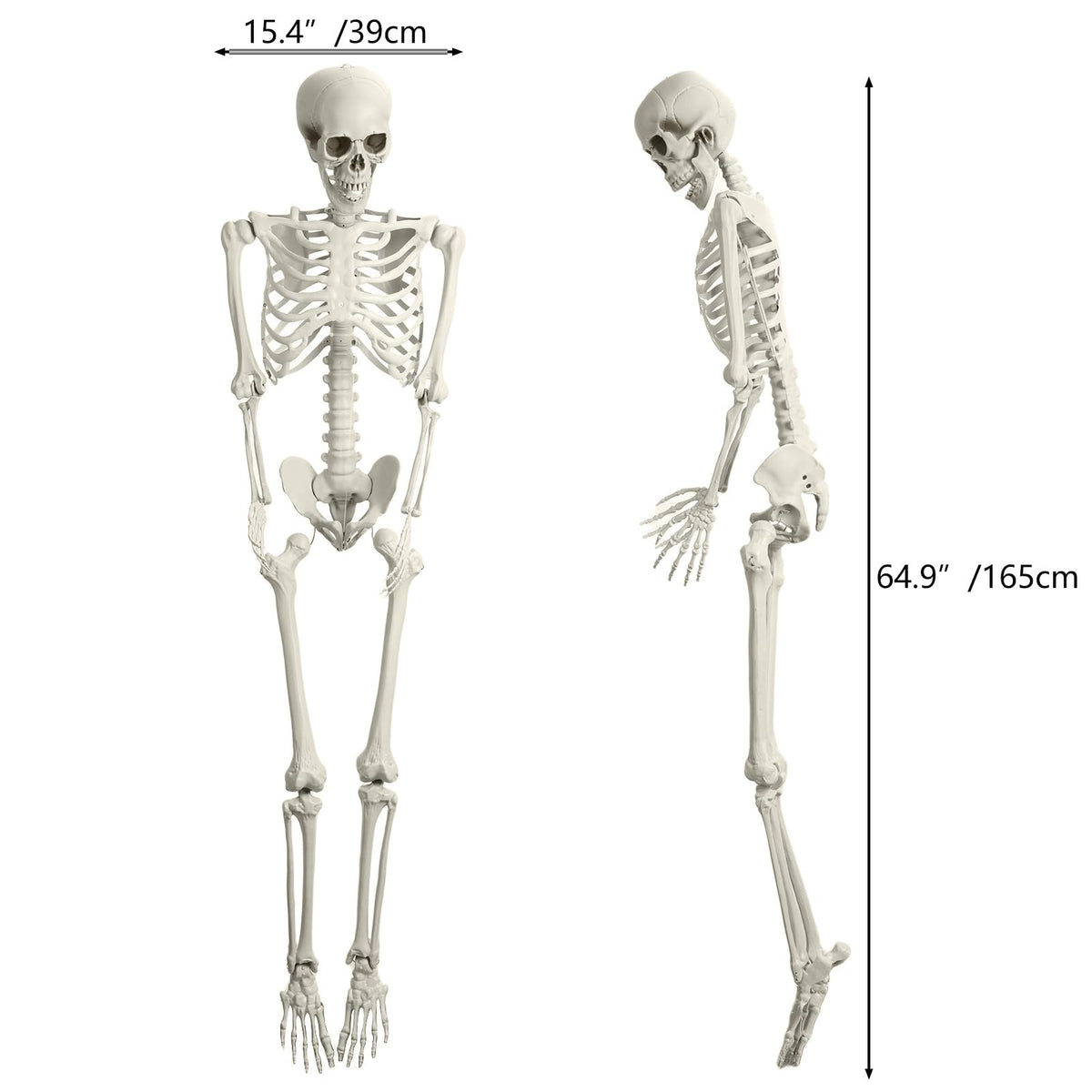 Halloween Skeleton Poseable Prop A999