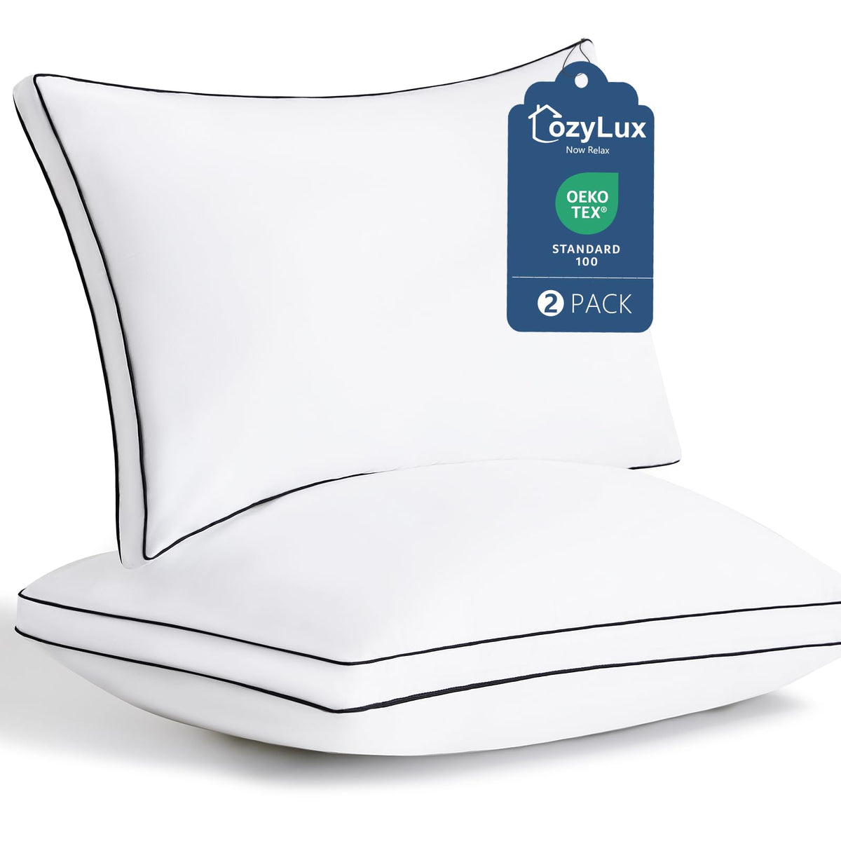 Queen Size Set of 2 Gusseted Bed Pillow M5209