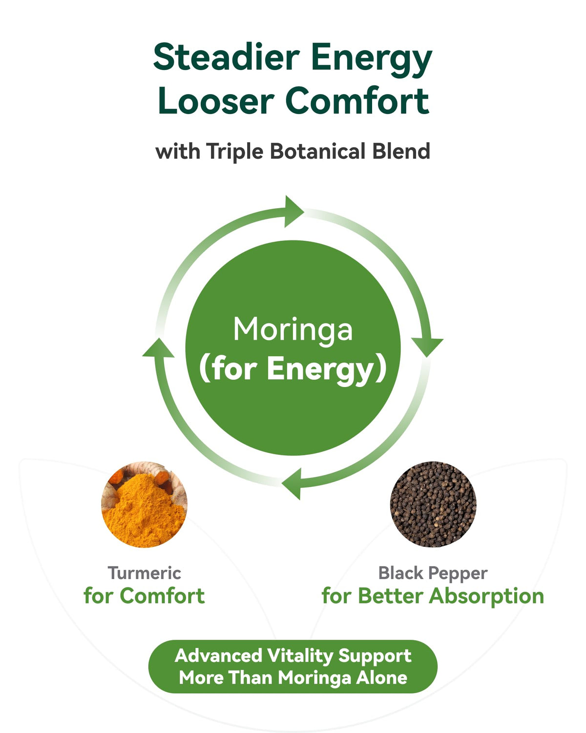 Moringa Capsules 1000mg 10:1 Moringa Leaf Extract 60 Count I32480
