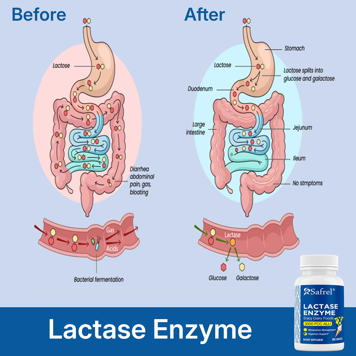 Unflavored Lactase Enzyme Tablets 180 Ct J815761