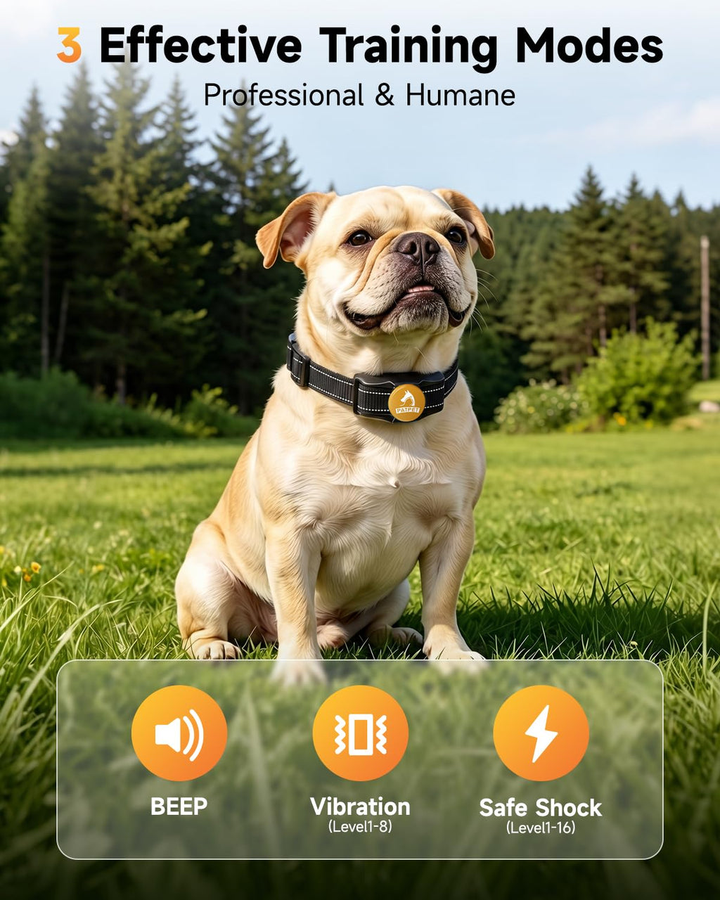 Rechargeable Dog Training Collar with Remote H8540