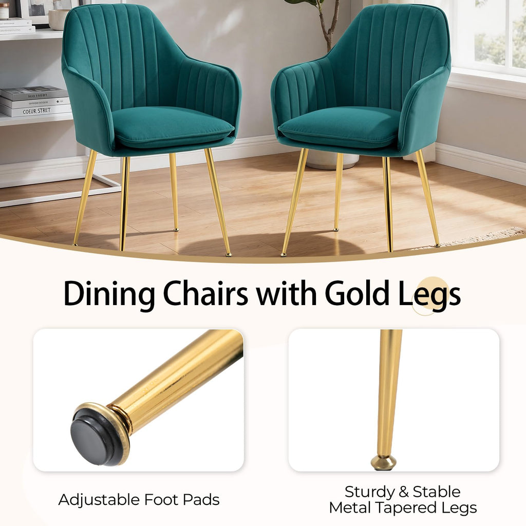 Velvet Accent Arm Chairs Set of 2 with Golden Legs F12032