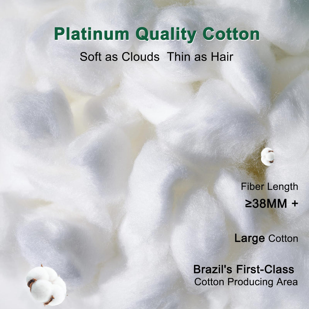 Fluffy Support Bed Pillow Queen Size Set of 2 White C5949