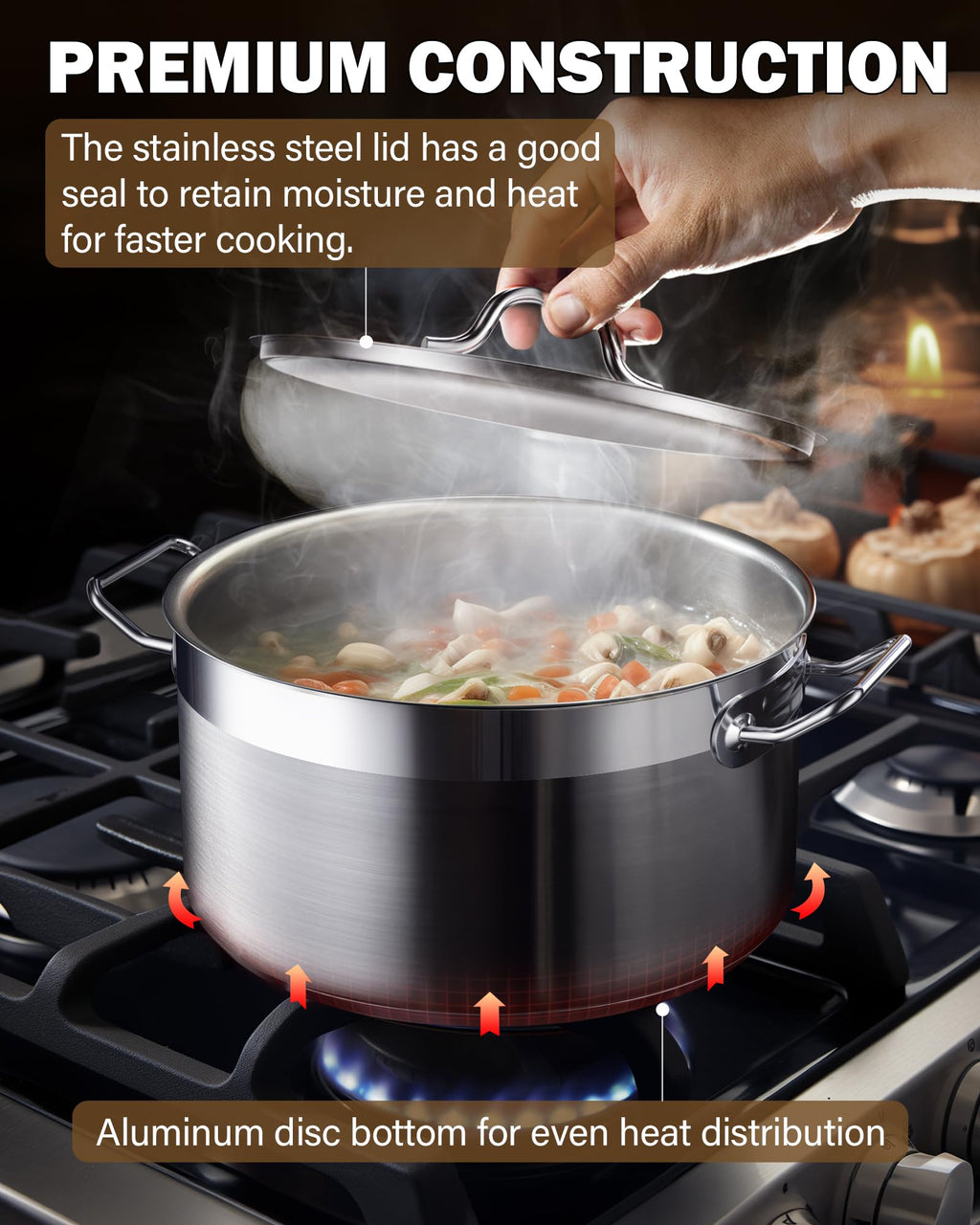 9 Quart Stainless Steel Stock Pot C309
