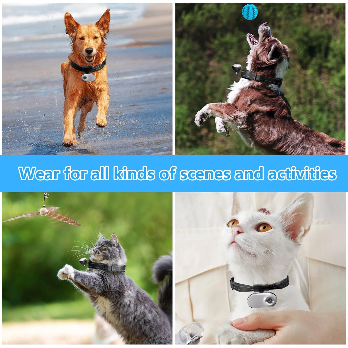 1080P Wireless Mini Pet Camera Collar Y308