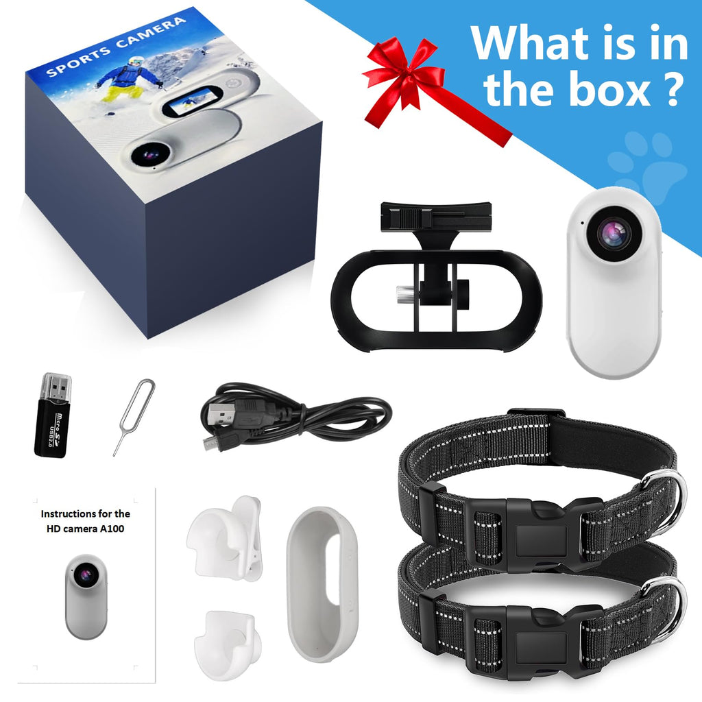 1080P Wireless Mini Pet Camera Collar Y308