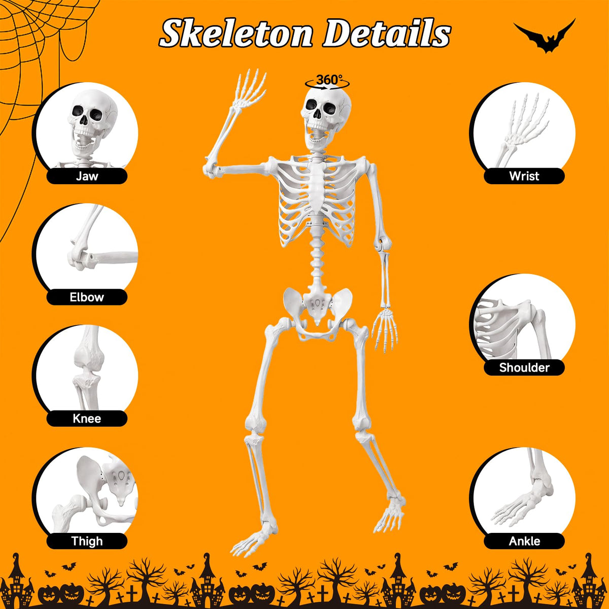 Life Size Human Skeleton with Posable Joint U72606