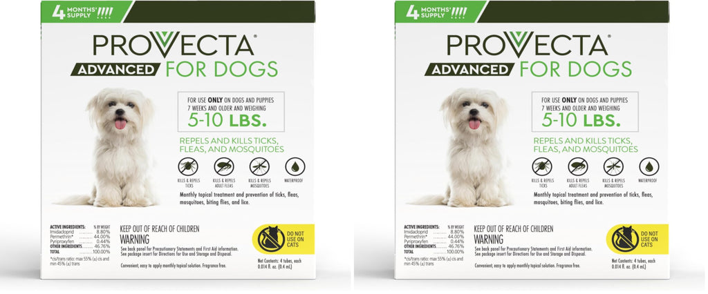 Small 5-10 lb Dog (Pack of 2) T315779