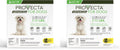 Small 5-10 lb Dog (Pack of 2) T315779