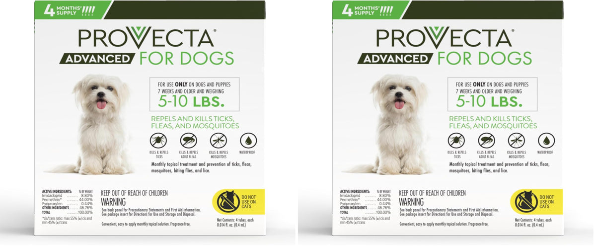 Small 5-10 lb Dog (Pack of 2) T315779