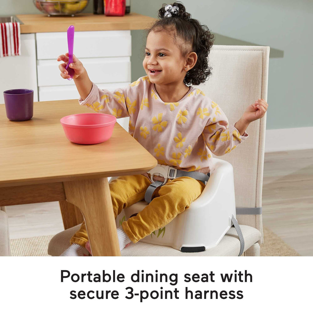 Toddler Booster Seat B172