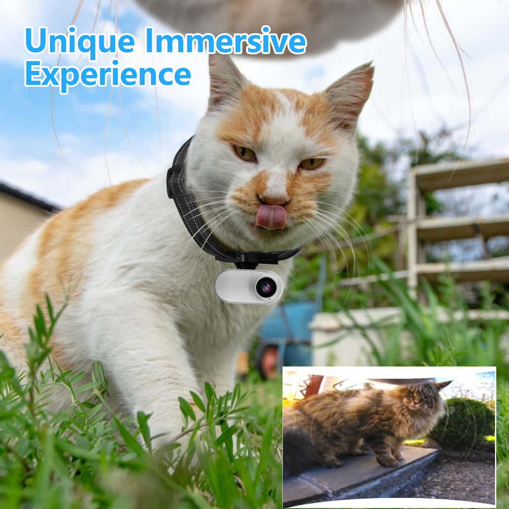 1080P Wireless Mini Pet Camera Collar Y308