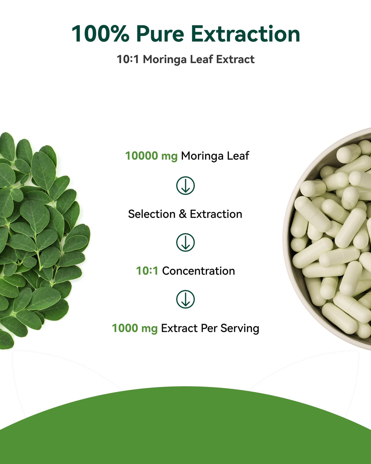 Moringa Capsules 1000mg 10:1 Moringa Leaf Extract 60 Count I32480