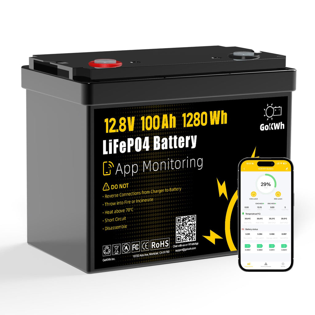 12V 100Ah LiFePO4 Lithium Battery J6204