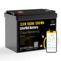 12V 100Ah LiFePO4 Lithium Battery J6204