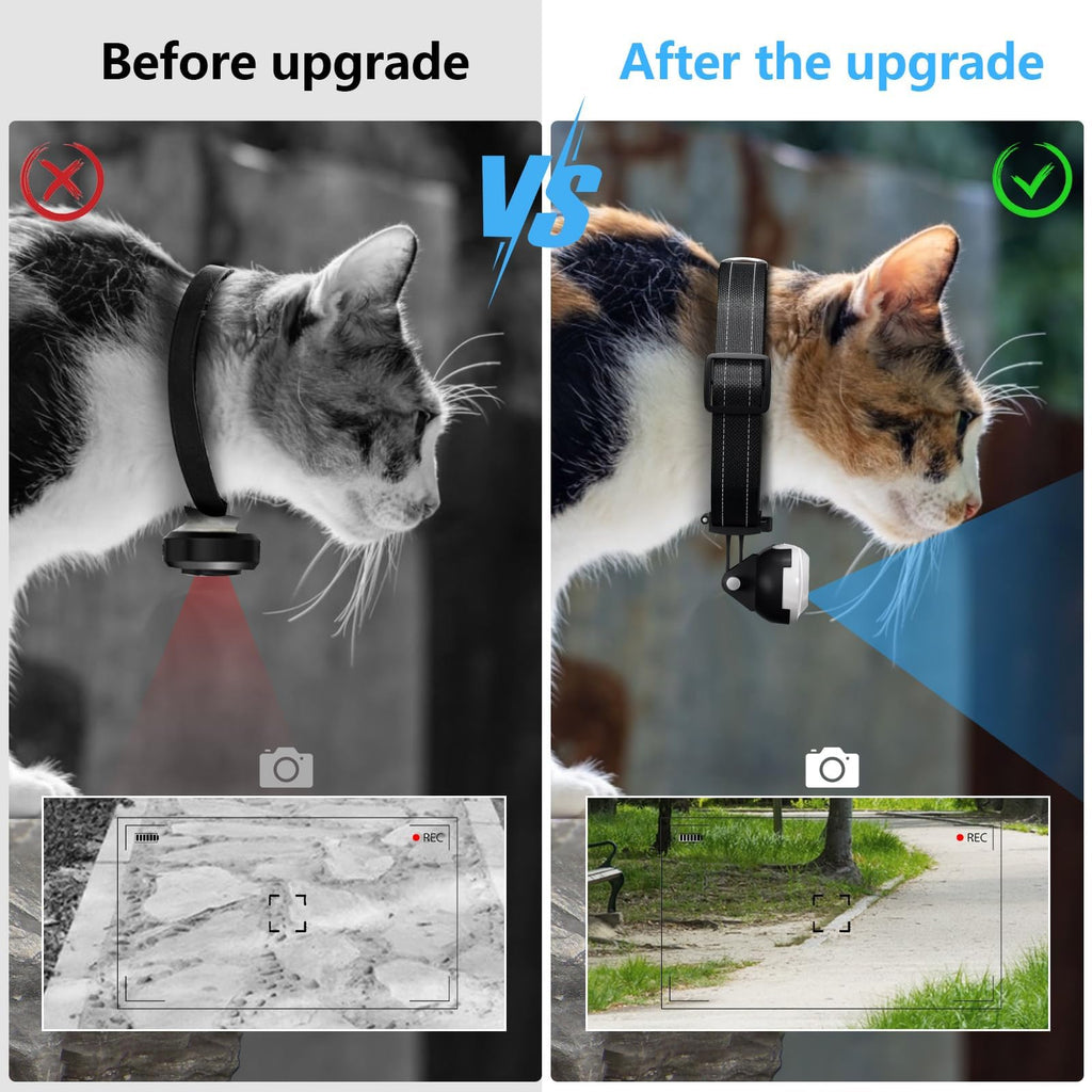 1080P Wireless Mini Pet Camera Collar Y308