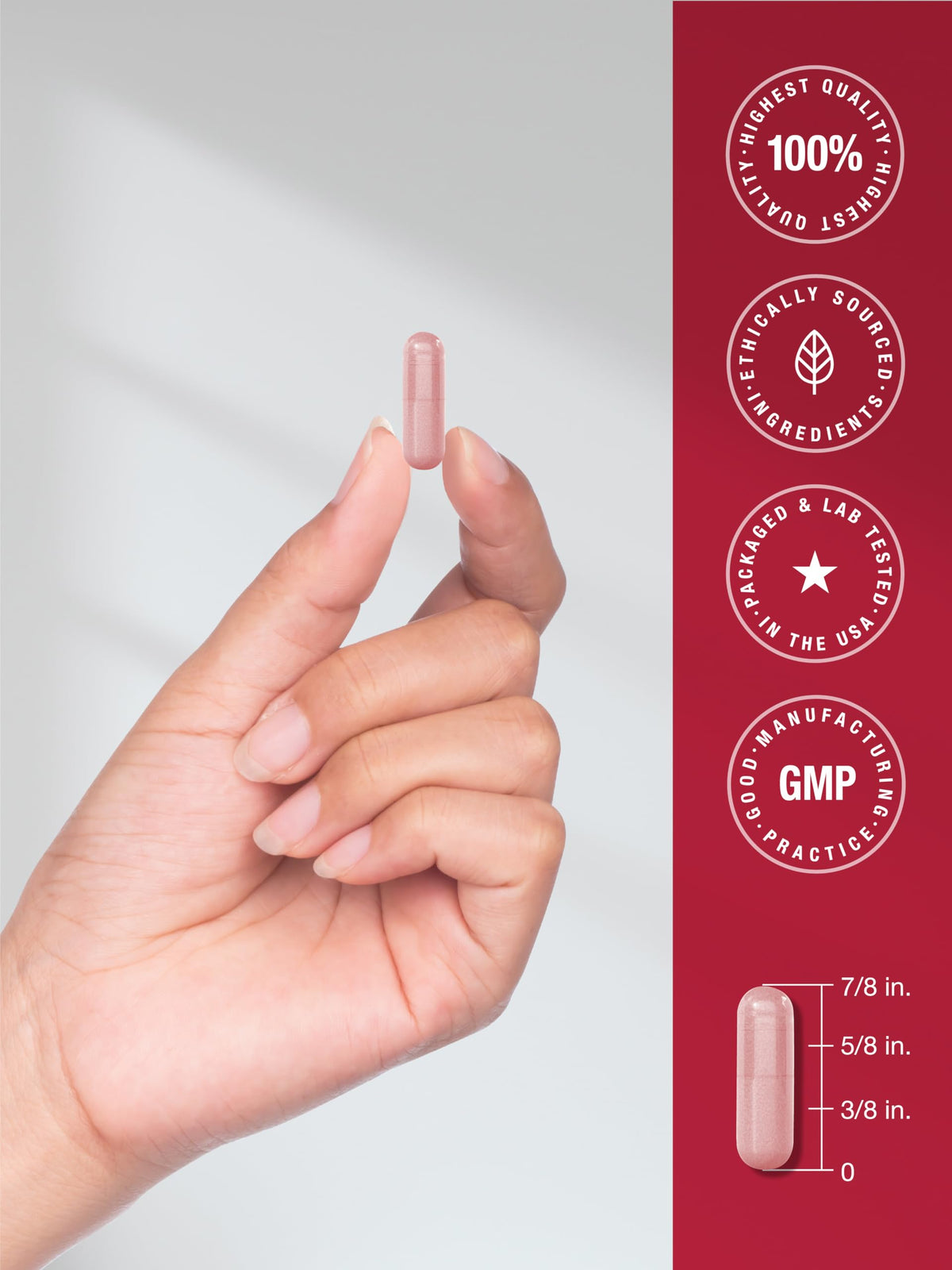 Beet Root Capsules 180 Count I54754