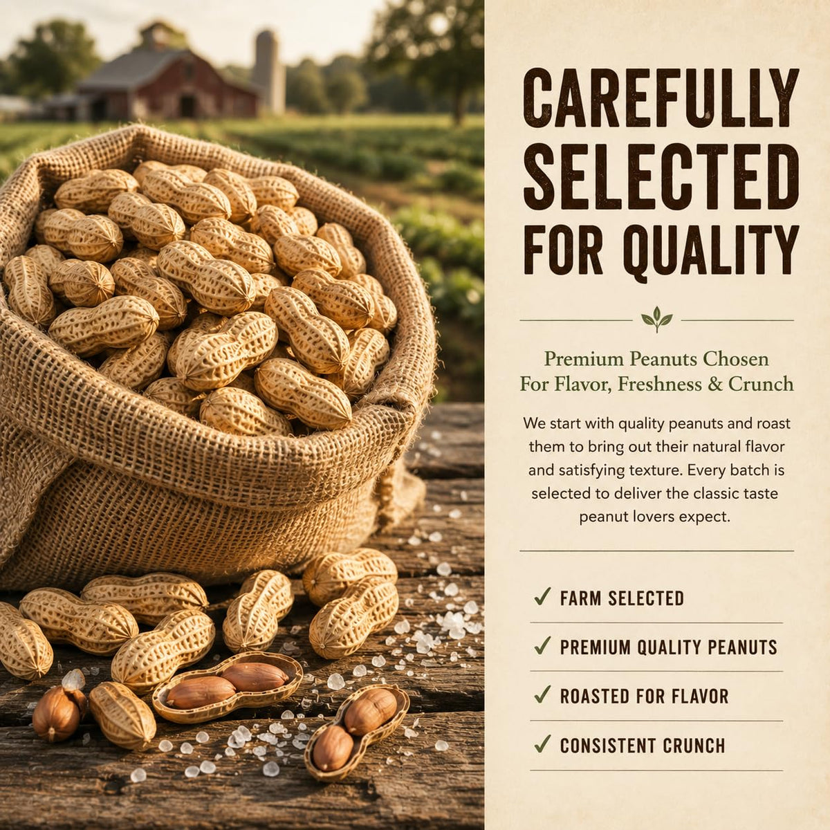 Roasted Salted Peanuts In Shell 1 LB C657