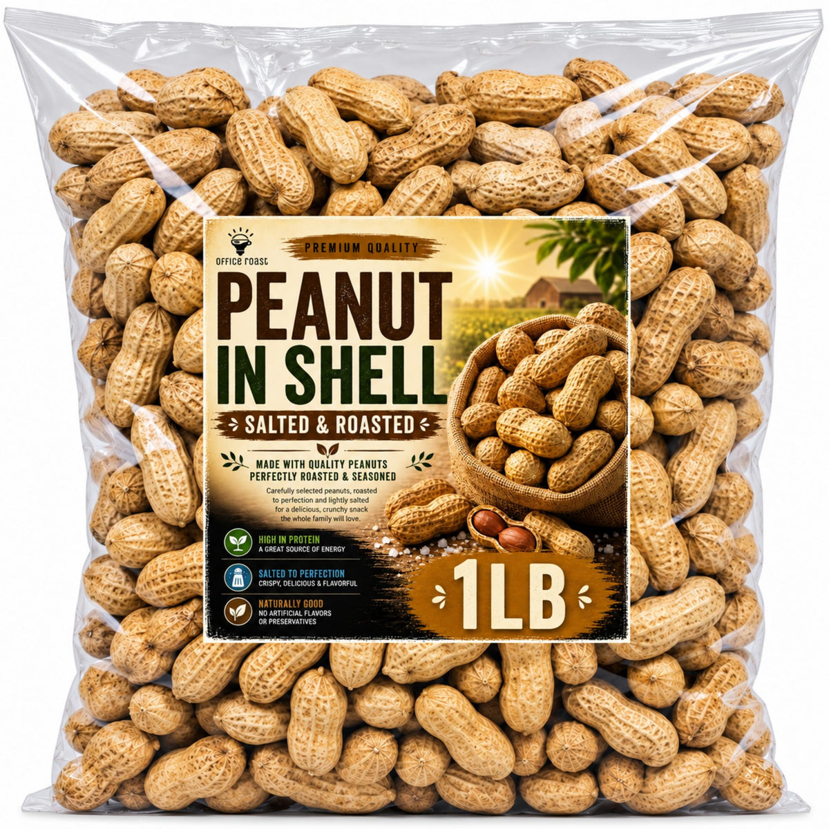 Roasted Salted Peanuts In Shell 1 LB C657