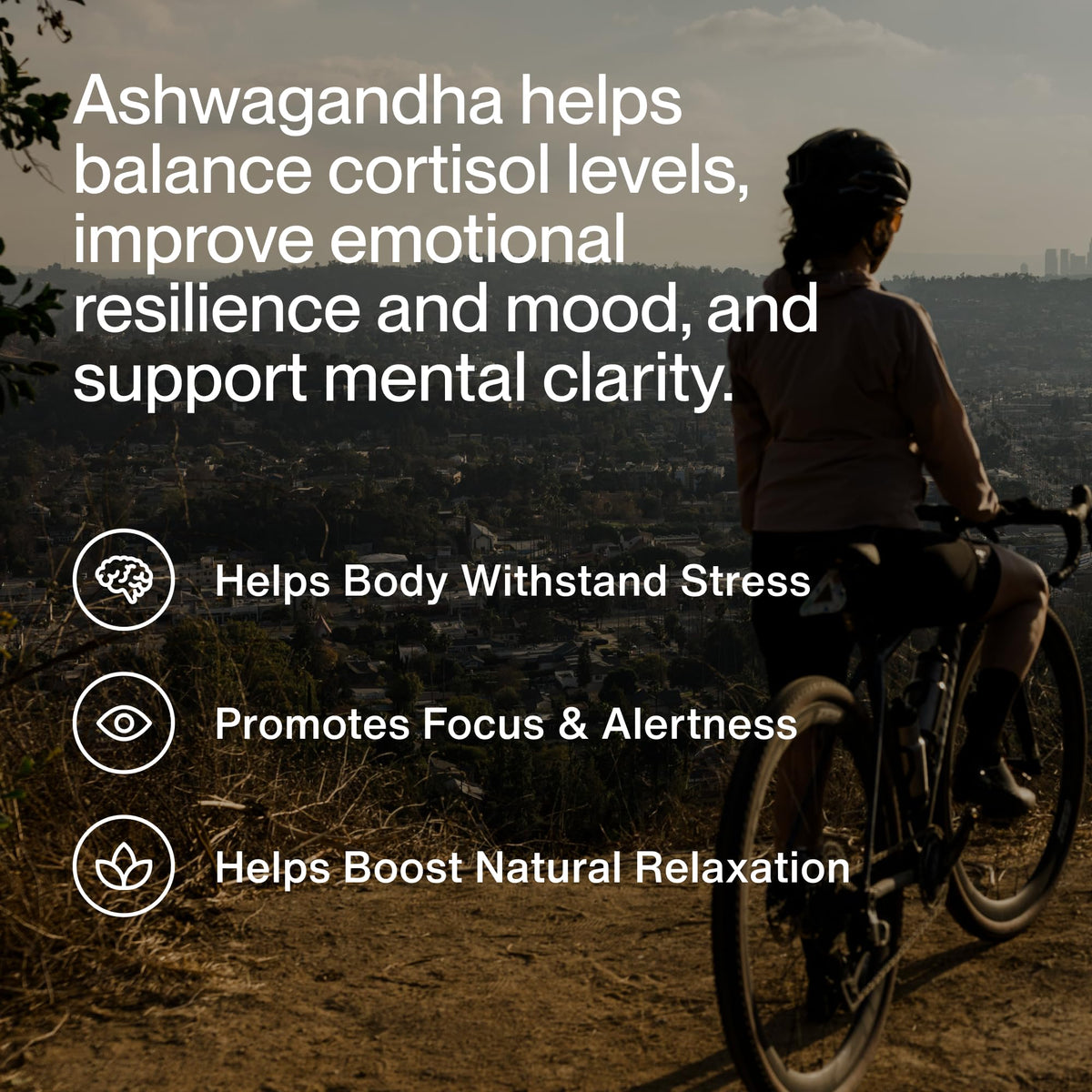 Ashwagandha Supplement 300mg D67331