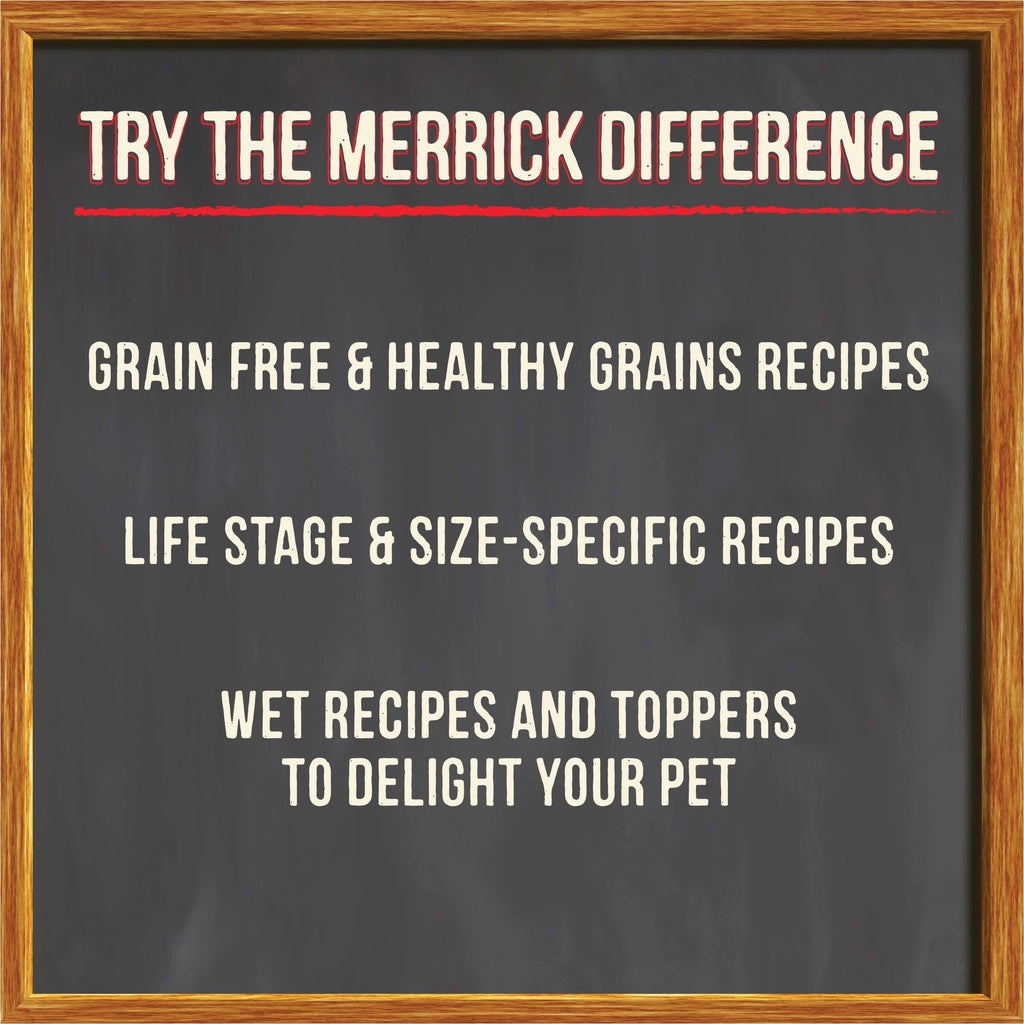 Grain Free Beef Bone Broth Dog and Cat Food Topper 16 oz T931355