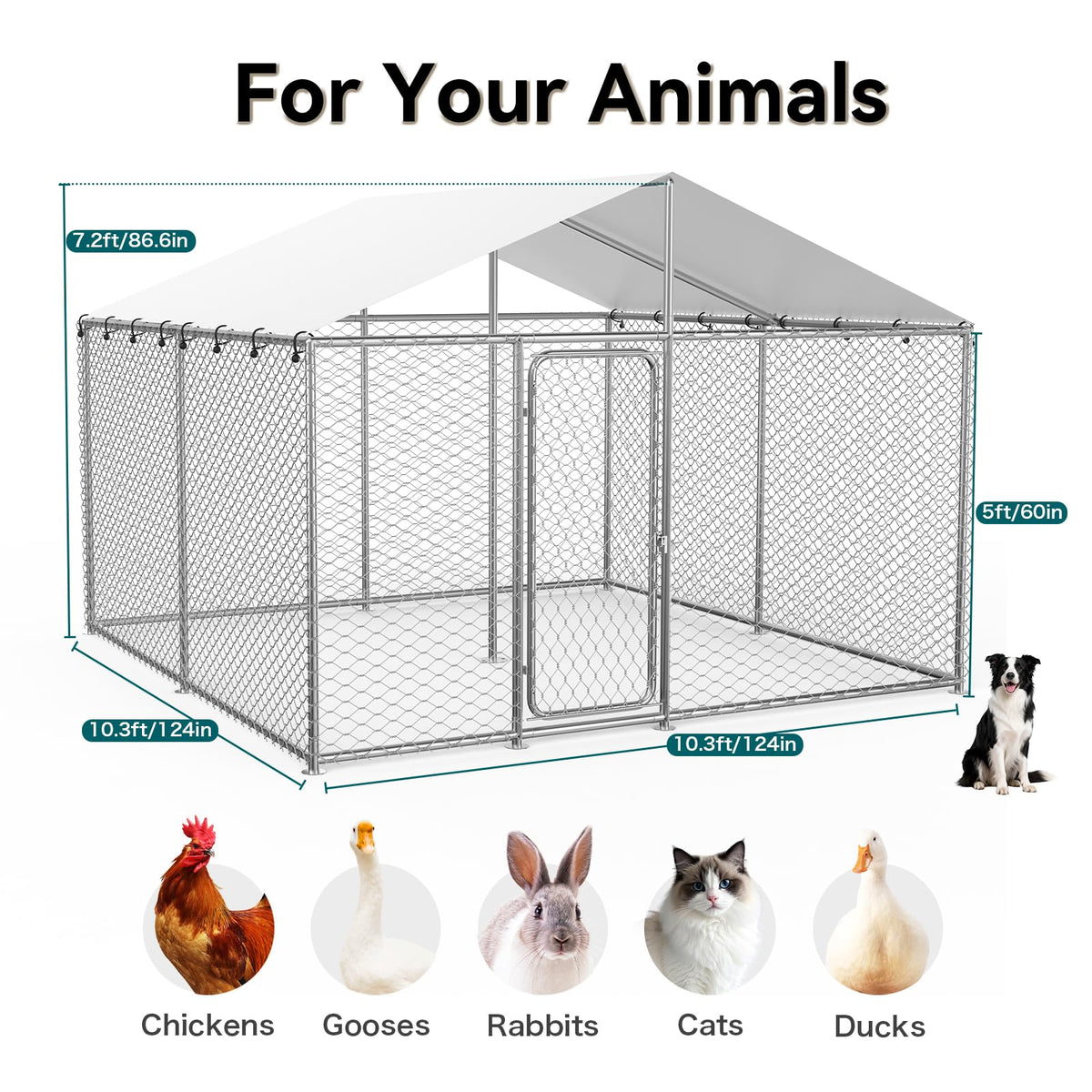 10x10 FT Outdoor Dog Kennel with Roof B8759