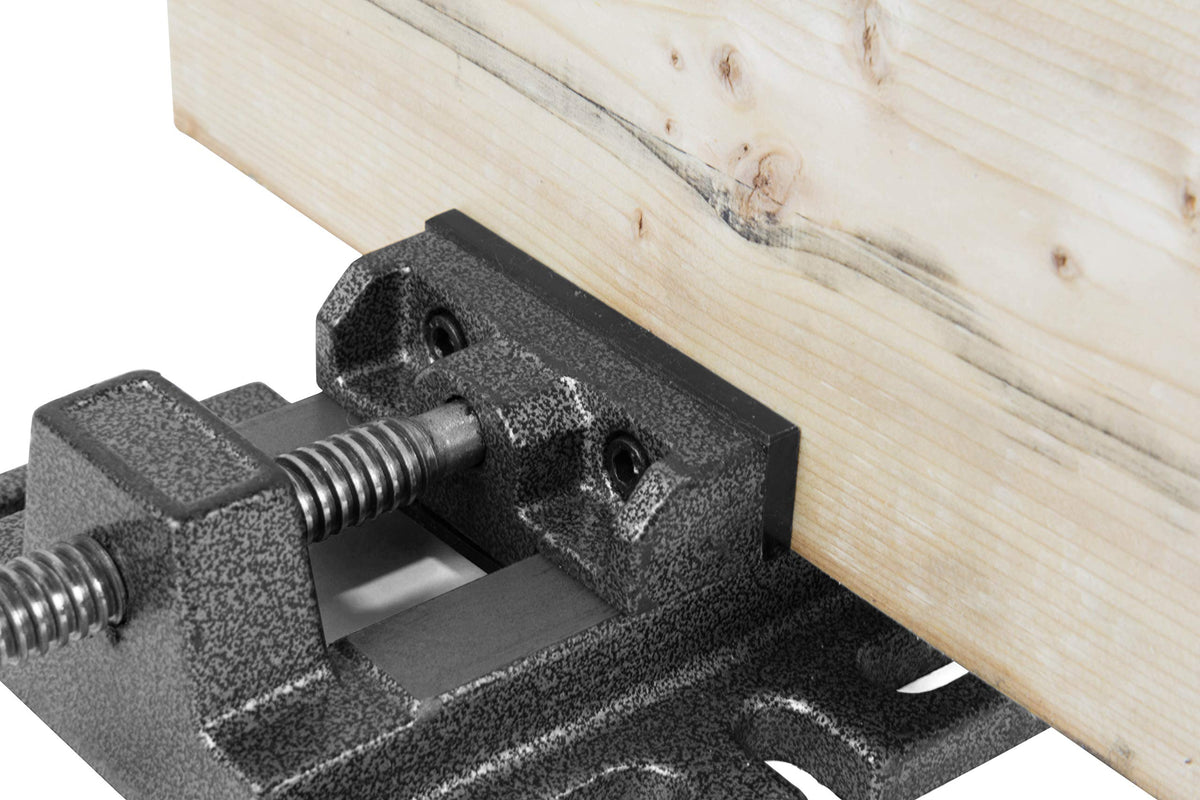 8-Inch 5-Speed Cast Iron Benchtop Drill Press with Vise Q31919