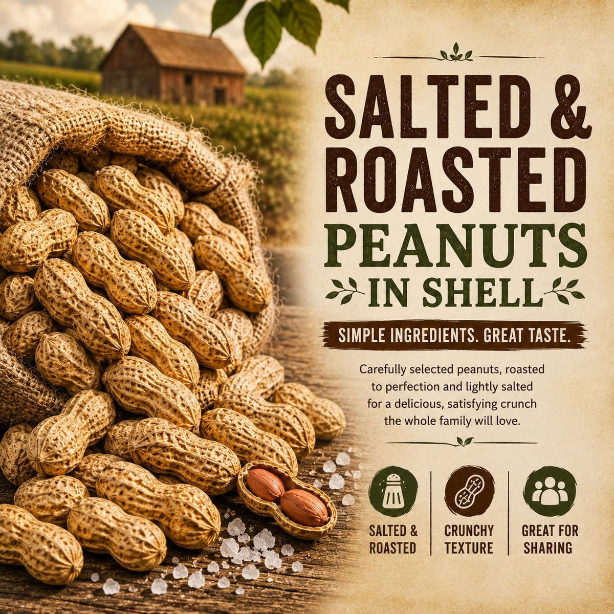 Roasted Salted Peanuts In Shell 1 LB C657