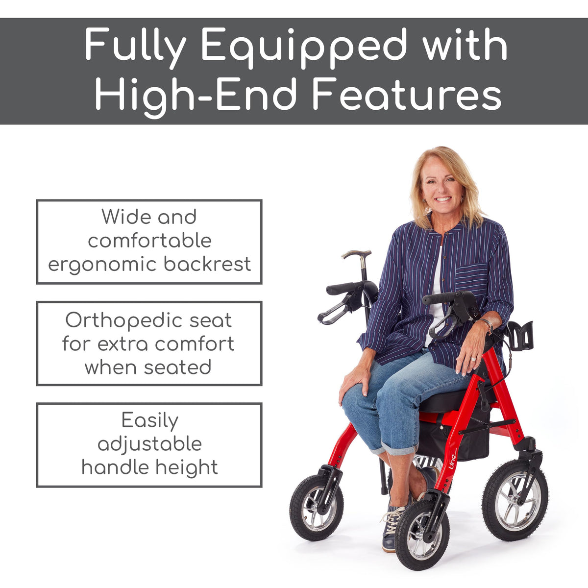 All Terrain Rolling Walker with Pneumatic Tires N4816