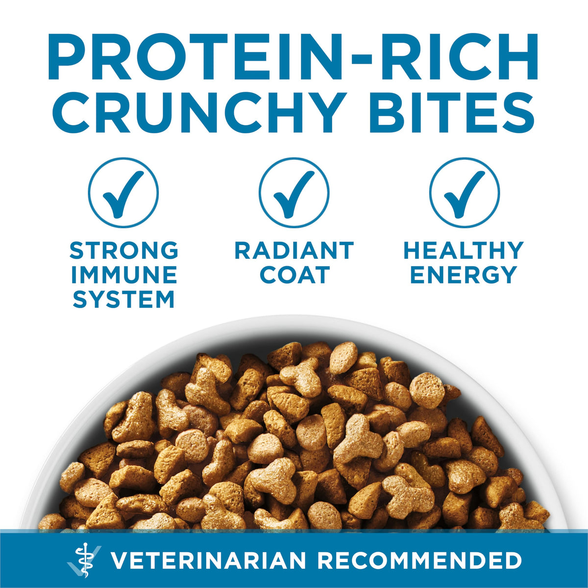 Senior Dry Cat Food 3.5 lb Bag S713