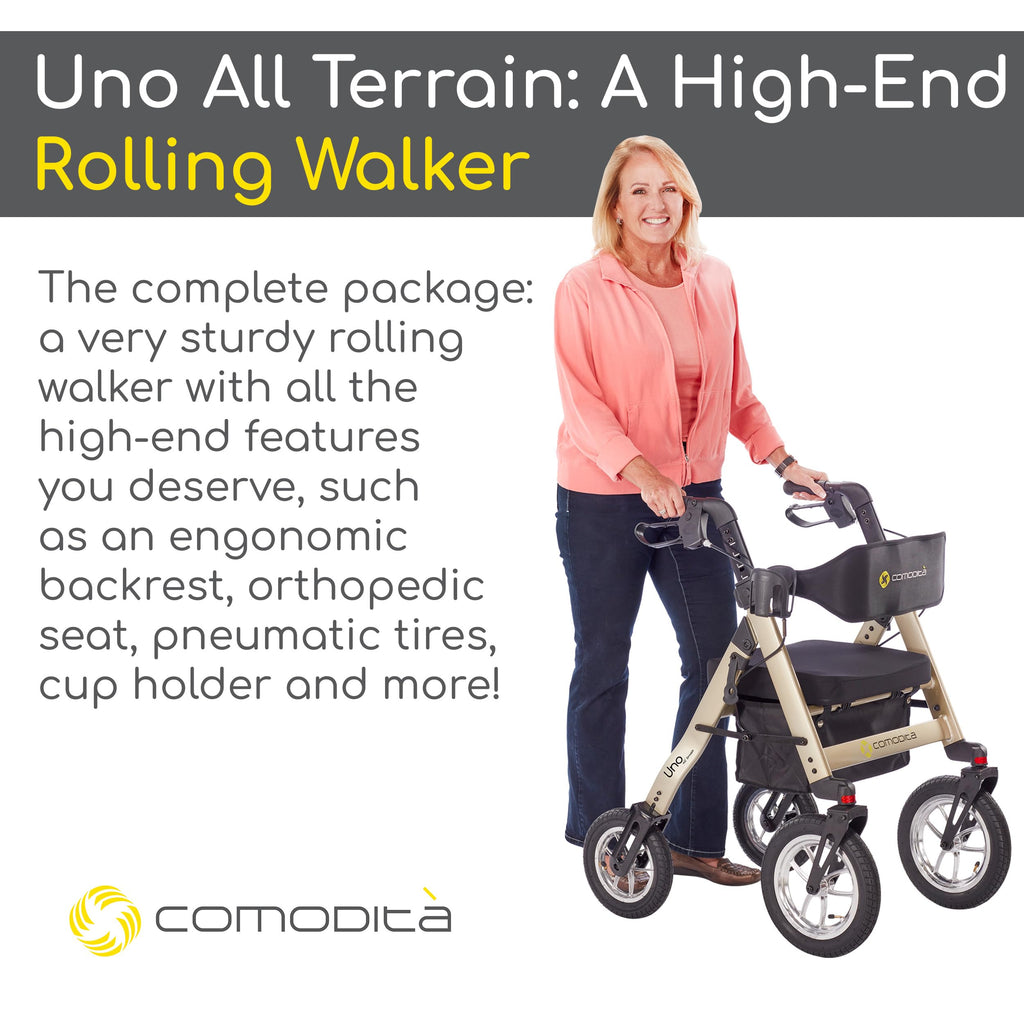 All Terrain Rolling Walker with Pneumatic Tires N4816