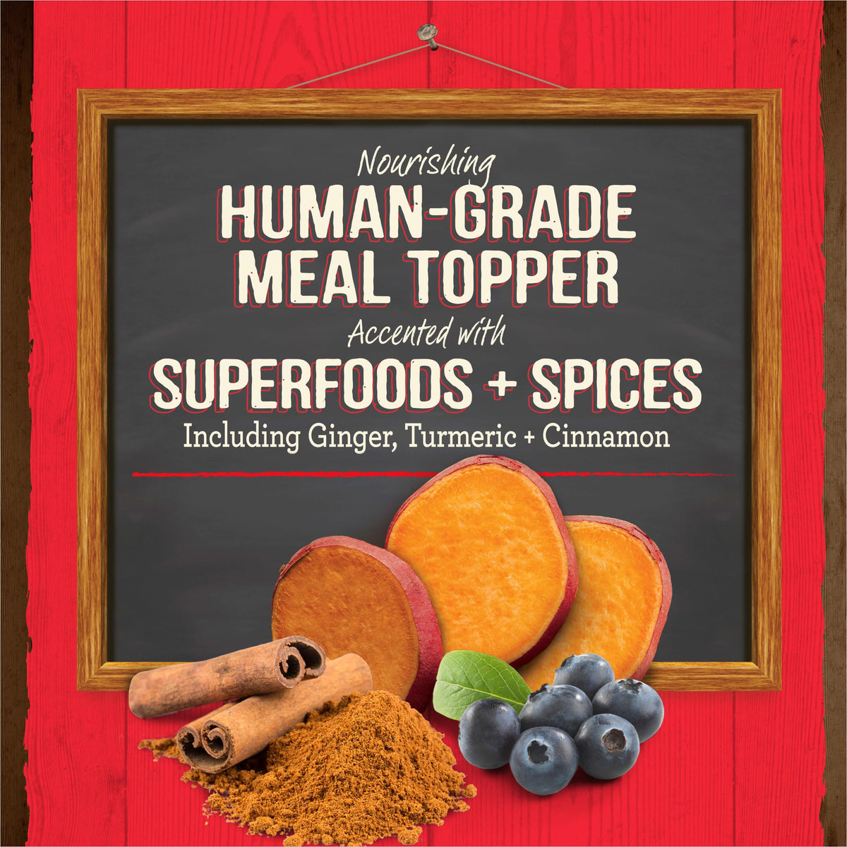 Grain Free Beef Bone Broth Dog and Cat Food Topper 16 oz T931355